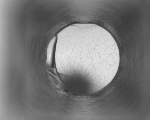 X0000080110673200612301944