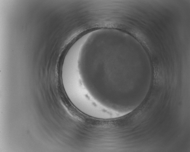 X0000080110674200612301944