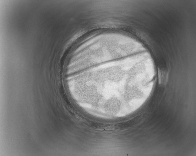 X0000080110675200612301944