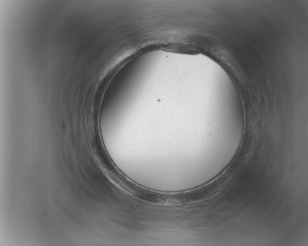 X0000080110677200612301944