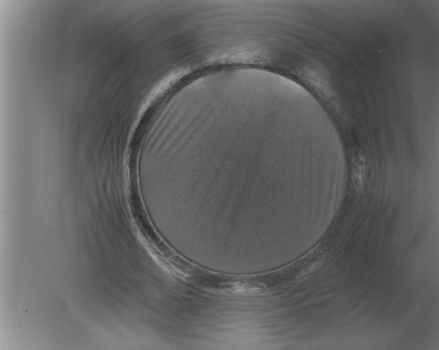 X0000080110678200612301944