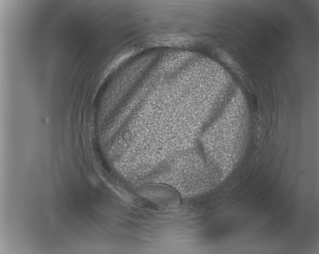 X0000080110679200612301944