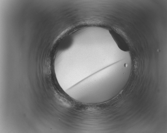 X0000080110684200612301944