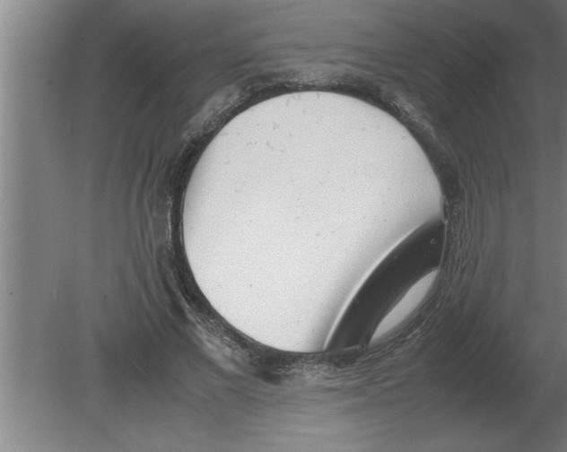 X0000080110685200612301944