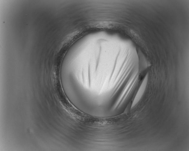 X0000080110688200612301944