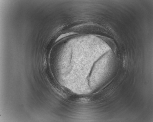 X0000080110692200612301944