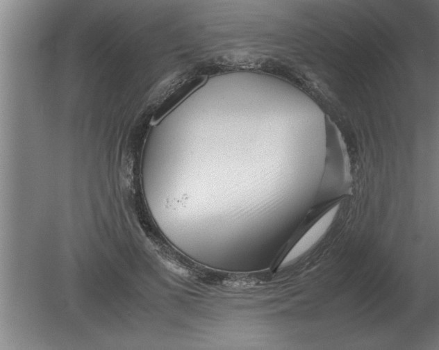 X0000080110693200612301944