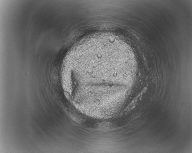 X0000080110695200612301944