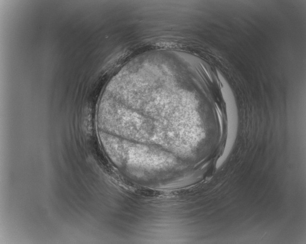 X0000080110696200612301944