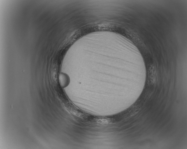 X0000080110698200612301944