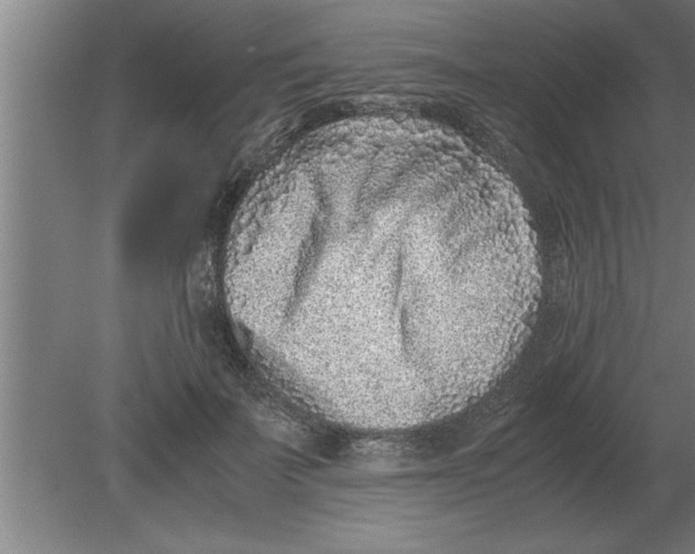 X0000080110699200612301944