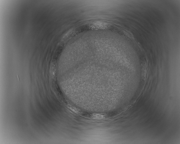 X0000080110701200612301944