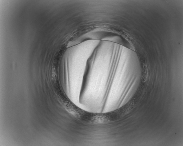 X0000080110704200612301944