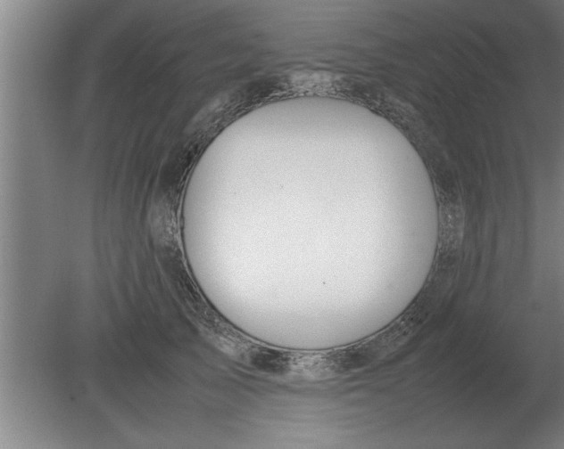 X0000080110705200612301944