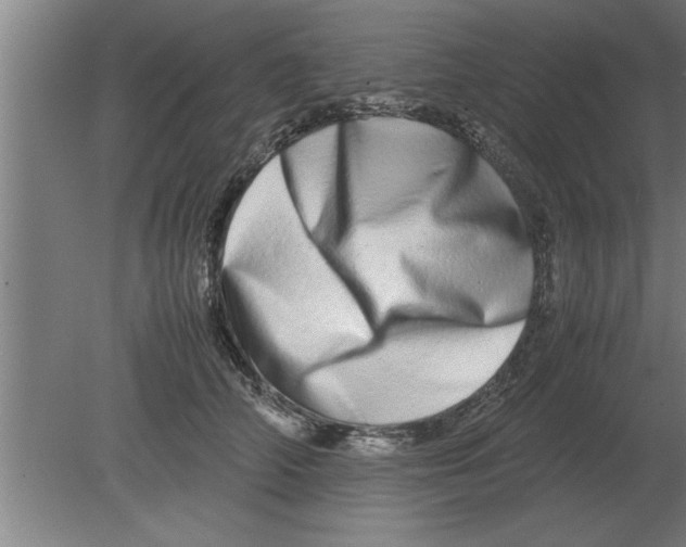 X0000080110706200612301944