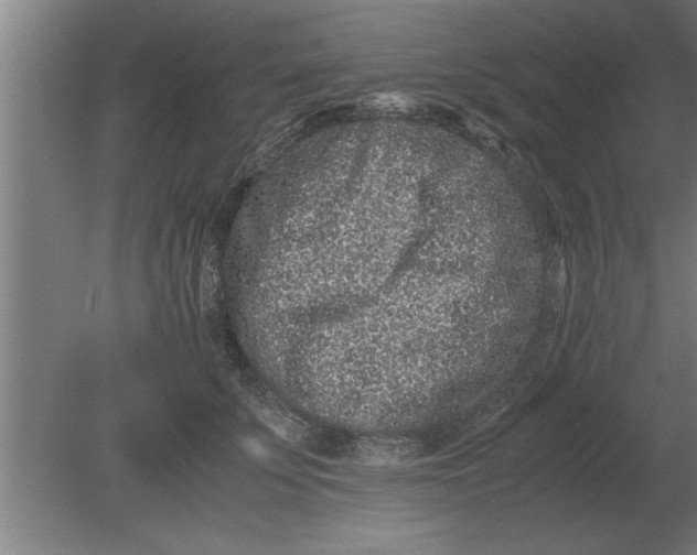 X0000080110707200612301944