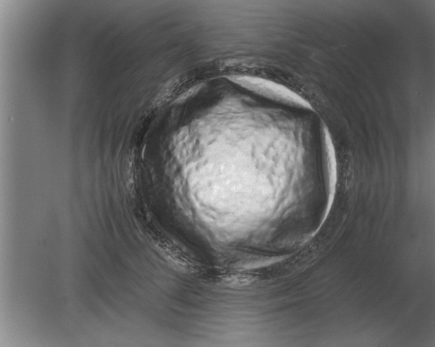 X0000080110708200612301944