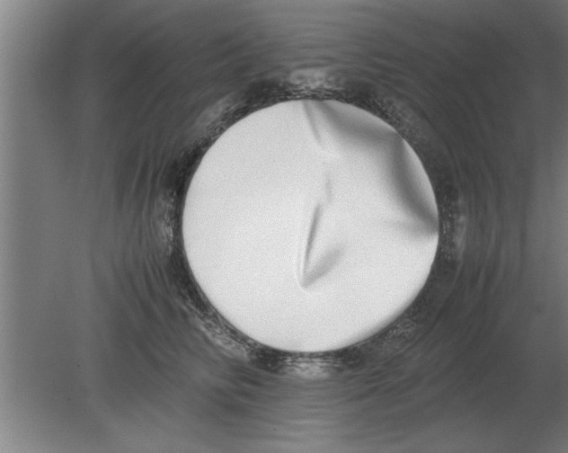 X0000080110710200612301944