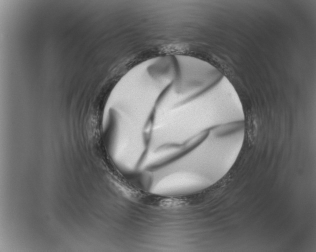 X0000080110714200612301944