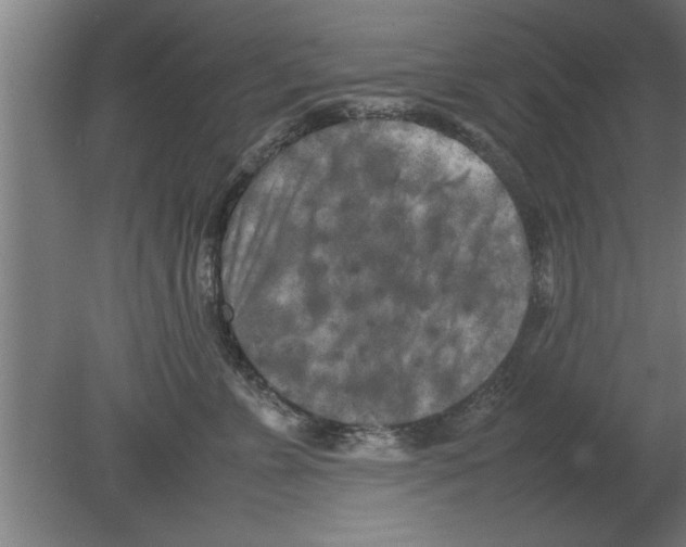 X0000080110715200612301944