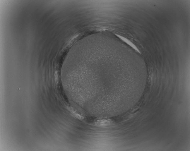 X0000080110716200612301944