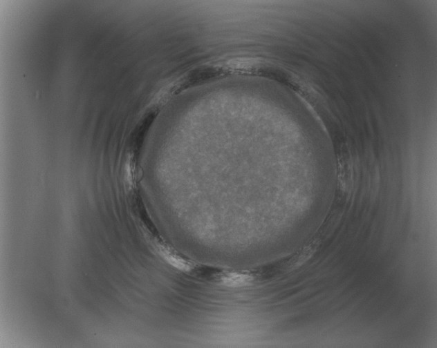 X0000080110718200612301944