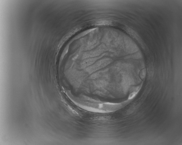 X0000080110721200612301943