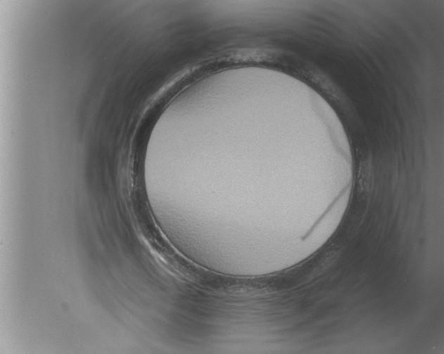 X0000080110722200612301943