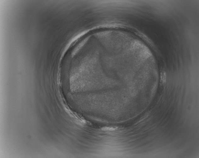 X0000080110724200612301943