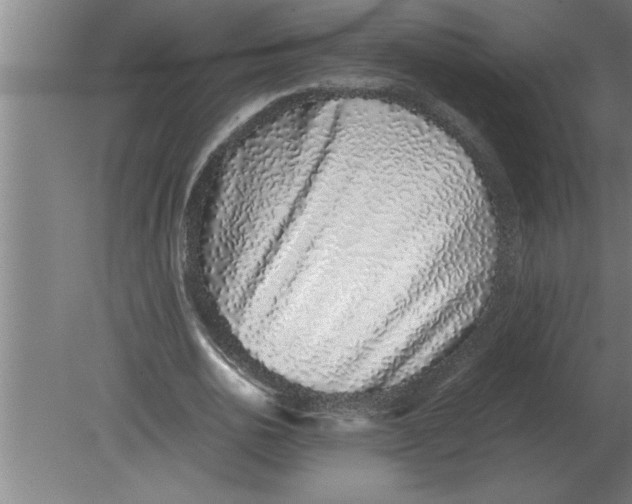 X0000080110726200612301943