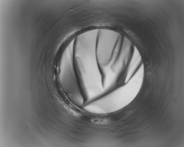 X0000080110727200612301943