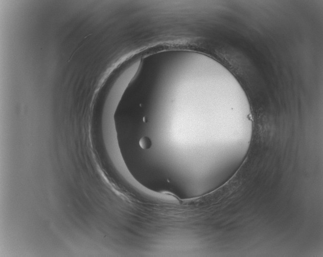 X0000080110728200612301943