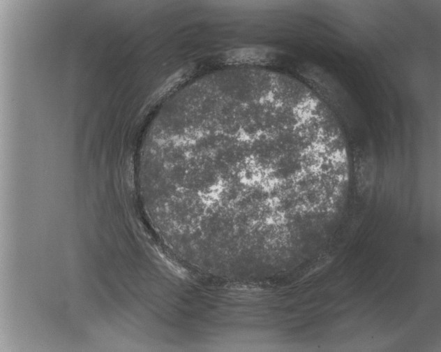 X0000080110729200612301943