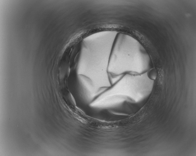 X0000080110731200612301943