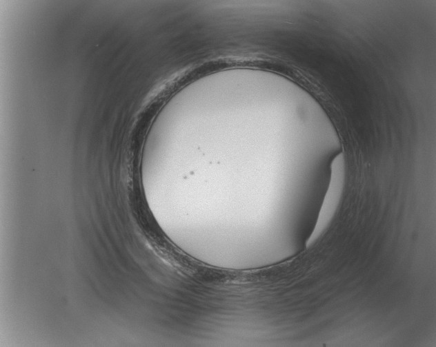 X0000080110732200612301943