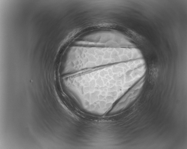 X0000080110734200612301943