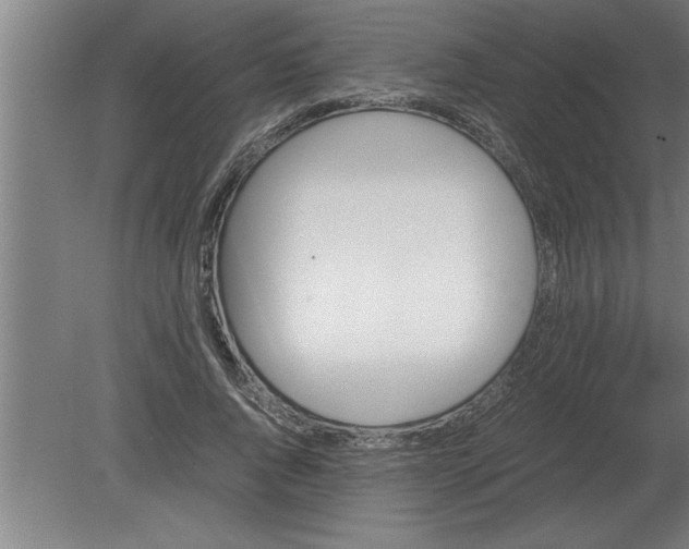 X0000080110736200612301943