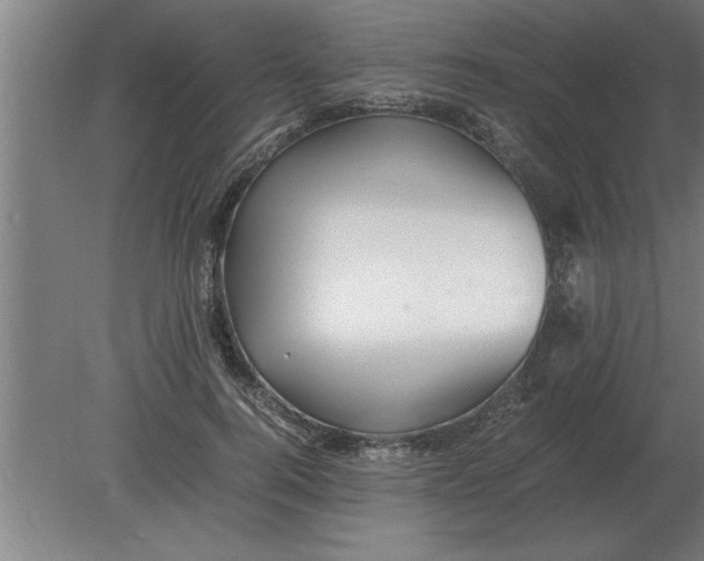 X0000080110744200612301943