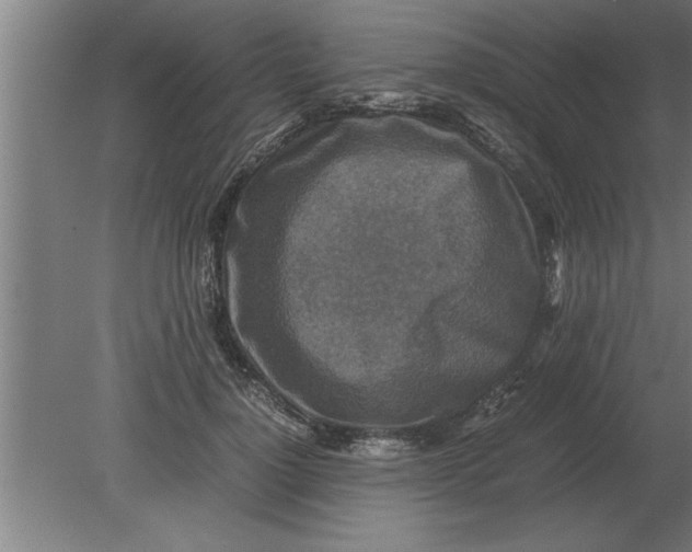 X0000080110748200612301943