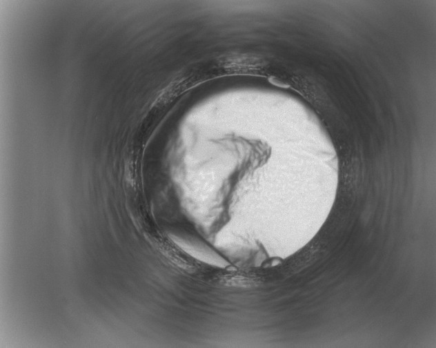 X0000080110755200612301943