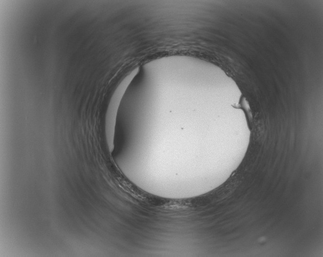 X0000080110756200612301943