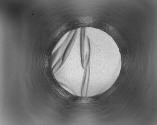 X0000080110758200612301943