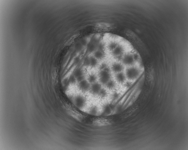 X0000080110759200612301943