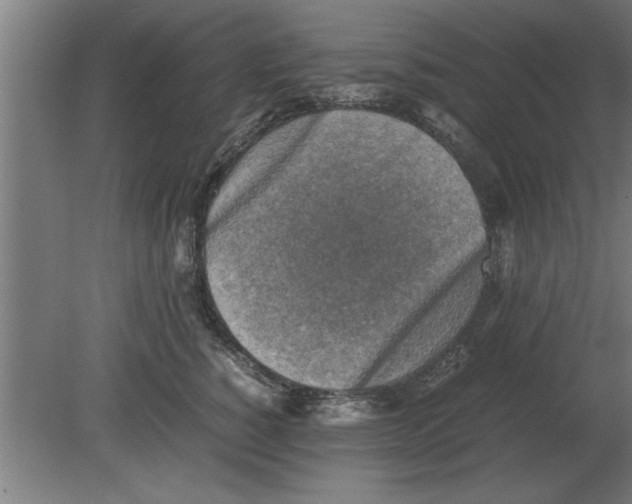 X0000080110760200612301943