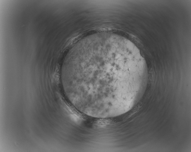 X0000080110762200612301943