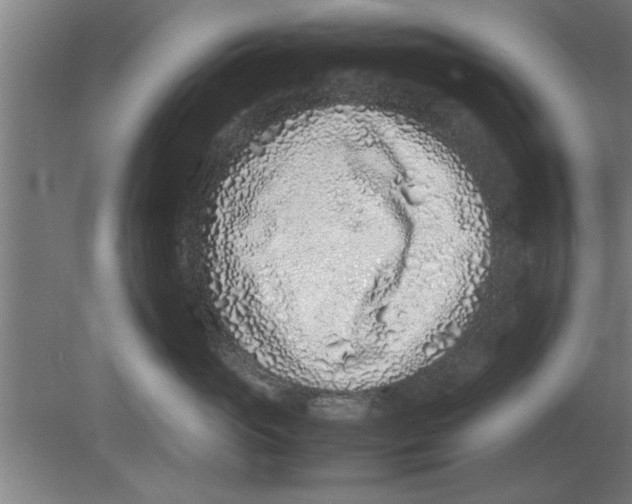 X0000080110765200612301943