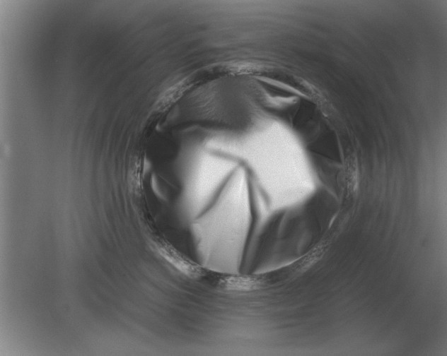 X0000080110766200612301943