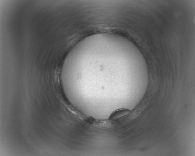 X0000080110768200612301943