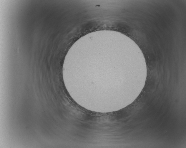 X0000080110769200612301943