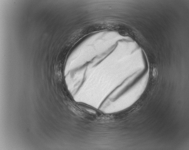 X0000080110771200612301943